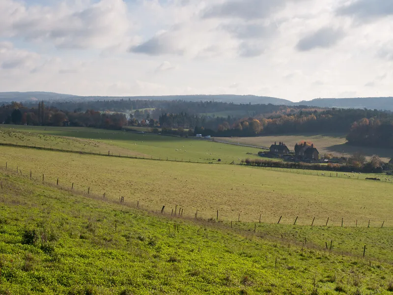 Surrey Hills